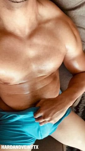 36M Bull from Austin, TX looking for quality couples