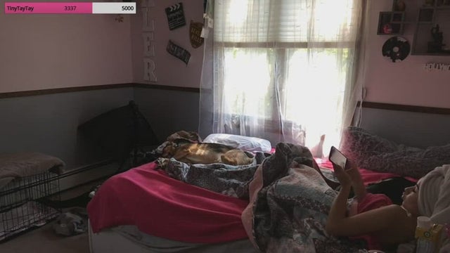 She knew what she do during livestream. "tinytiny"