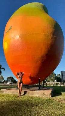 Showing my mangoes in fron tof the big mango! [GIF]