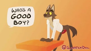 Who's a Good hubby BF (Scratchdex)