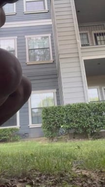 I felt like teasing my neighbors