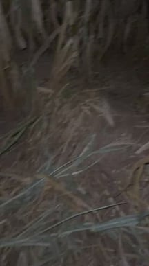 It makes me so horny flashing my boobs with people all around me