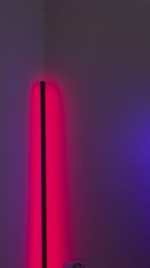 What if i greeted you like this every time you came home?