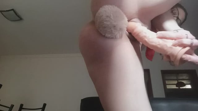 I'm a dong hungry bunny