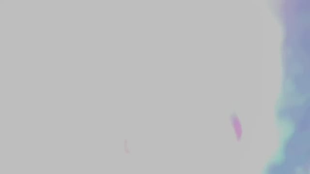 Should I trim my bush or continue to grow it out?